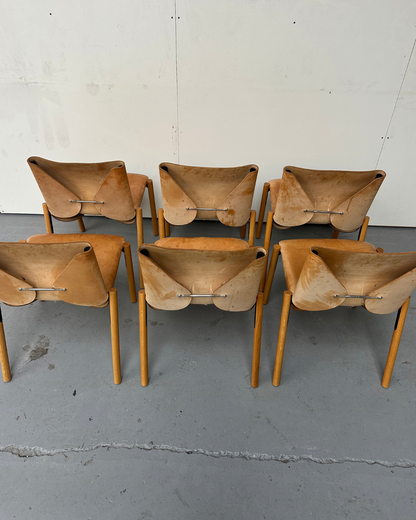 Kristalia 1085 Edition Dining Chairs | Set of 6