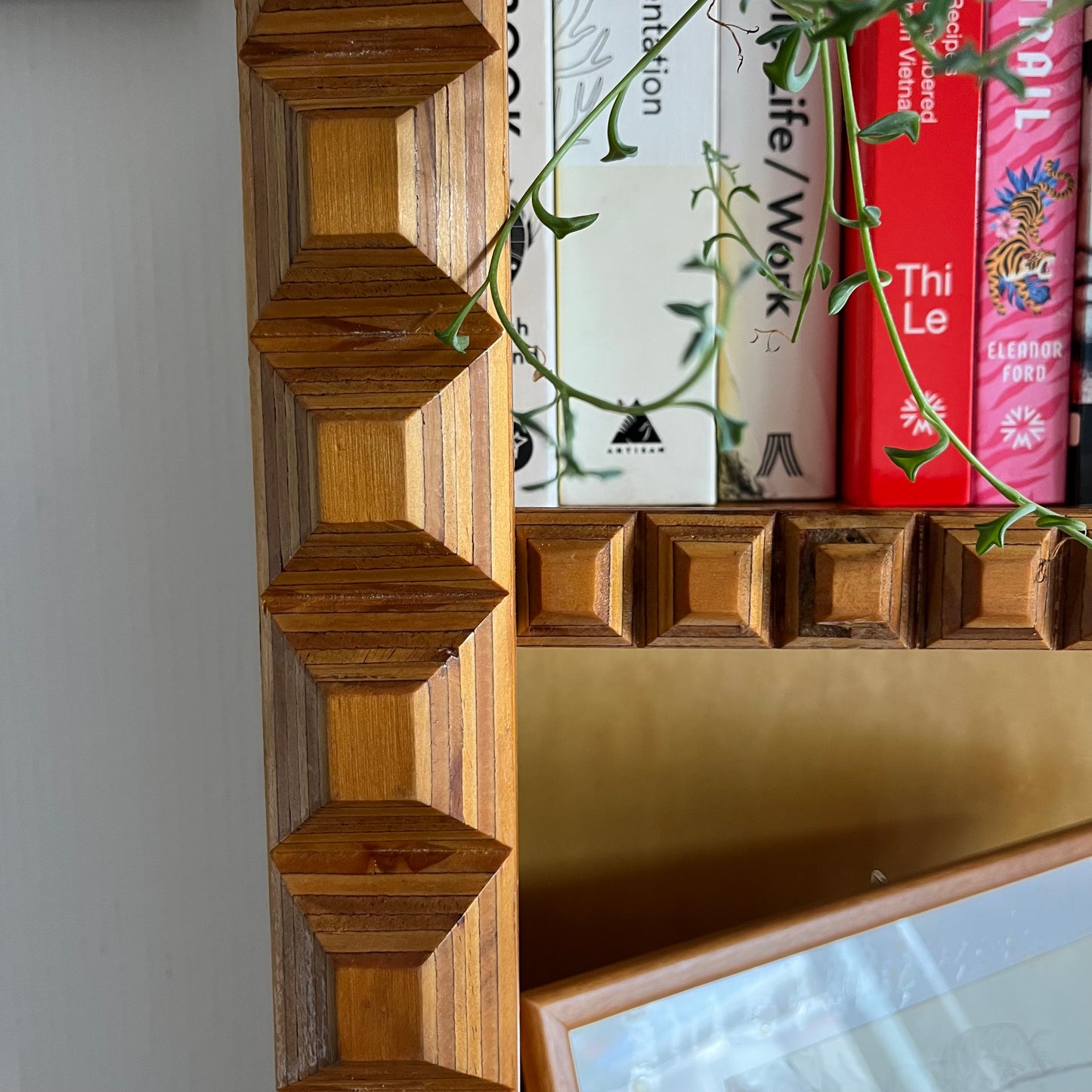 Handcrafted Plywood Bookshelf / NZ Made