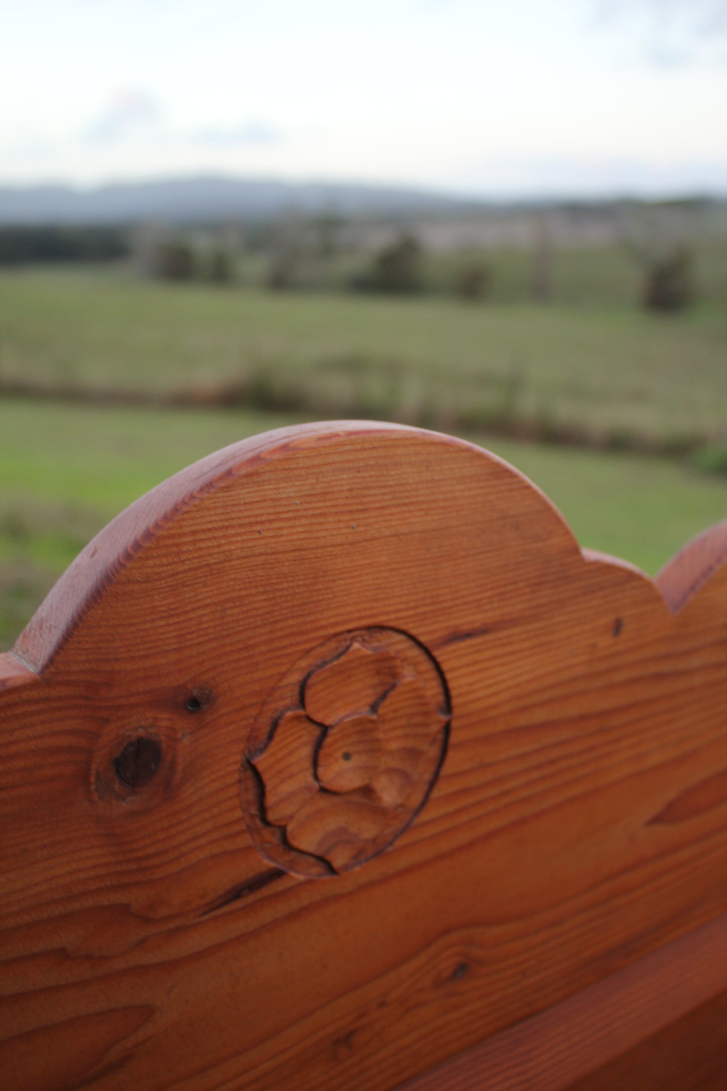 Vintage European Pine Sleigh Bed Frame / Single