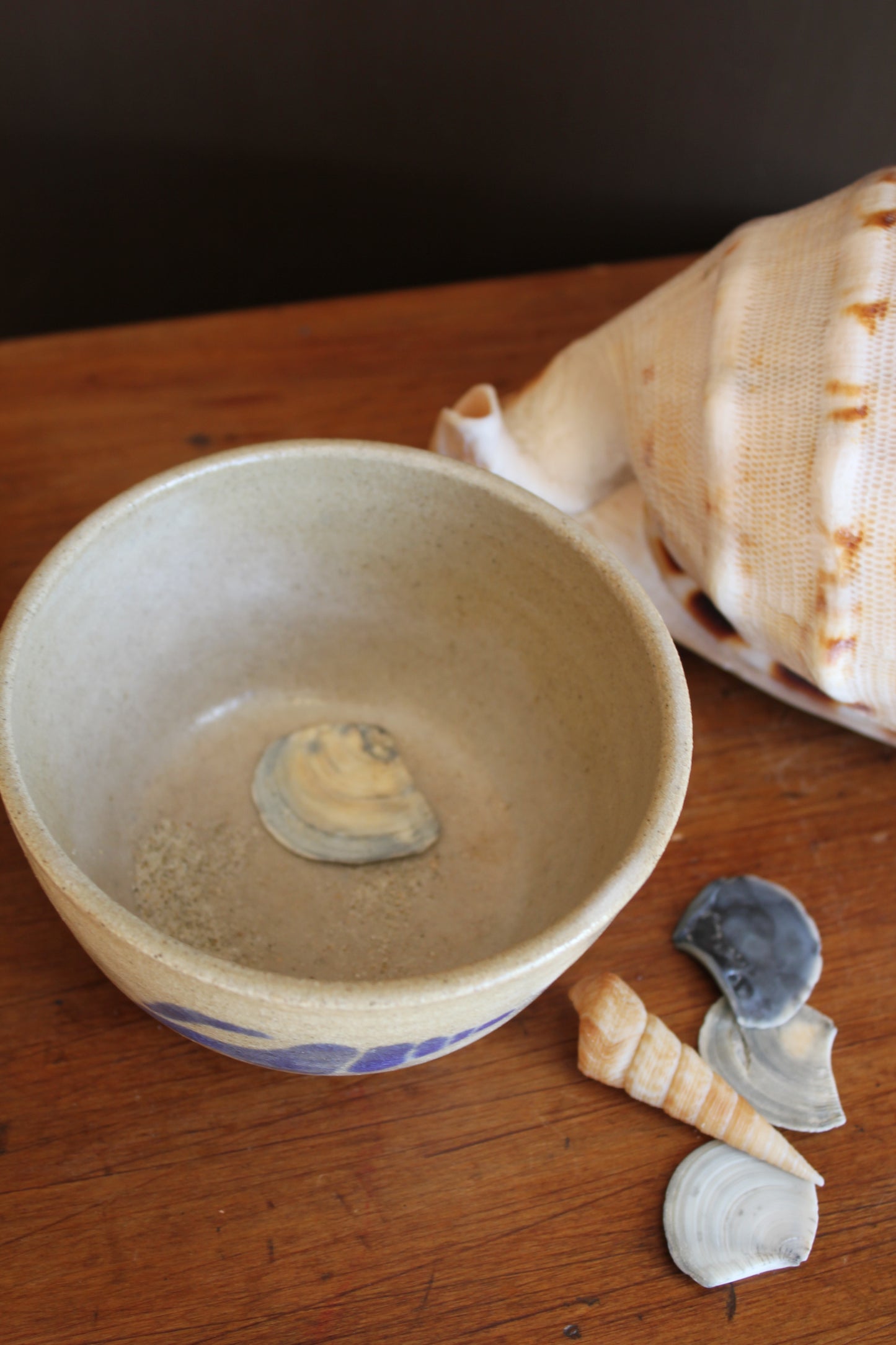 Shell Bowl
