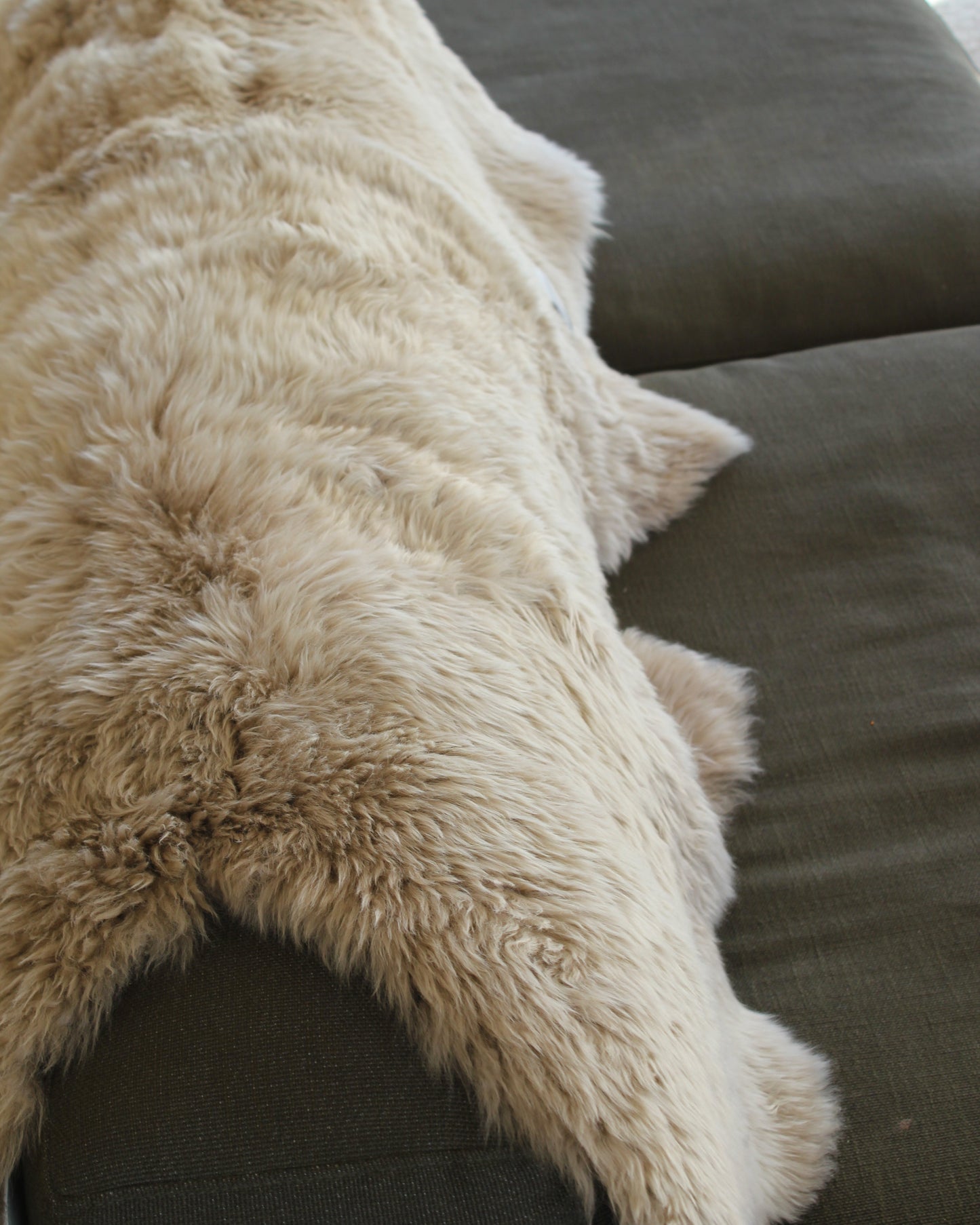 Sit on Wool Sheepskin Quad in Oyster