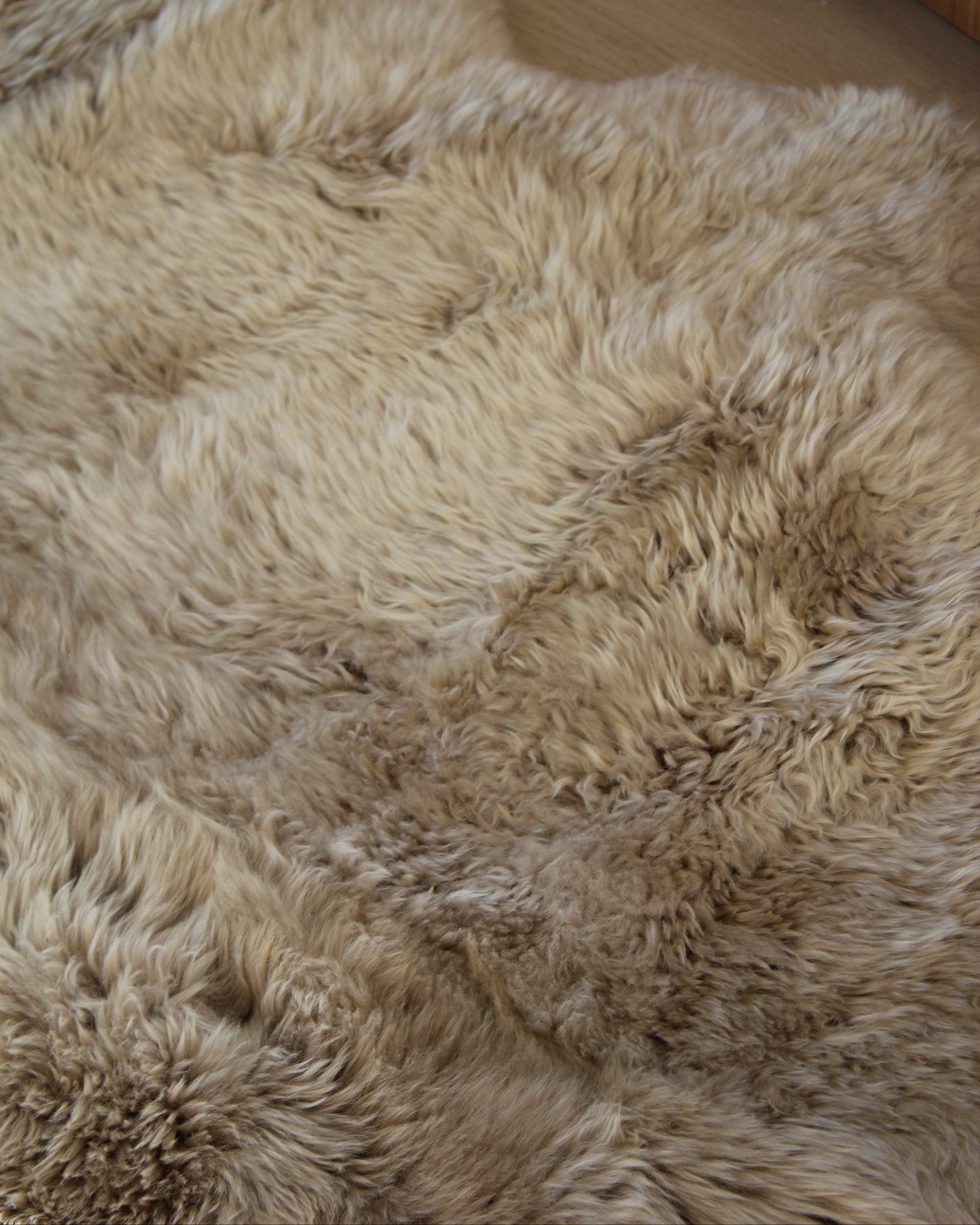 Sit on Wool Sheepskin Quad in Oyster