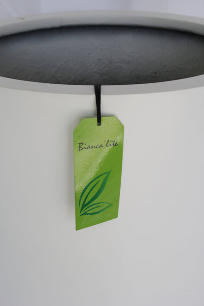 Bianca Cigar Cylinder Pot – Medium