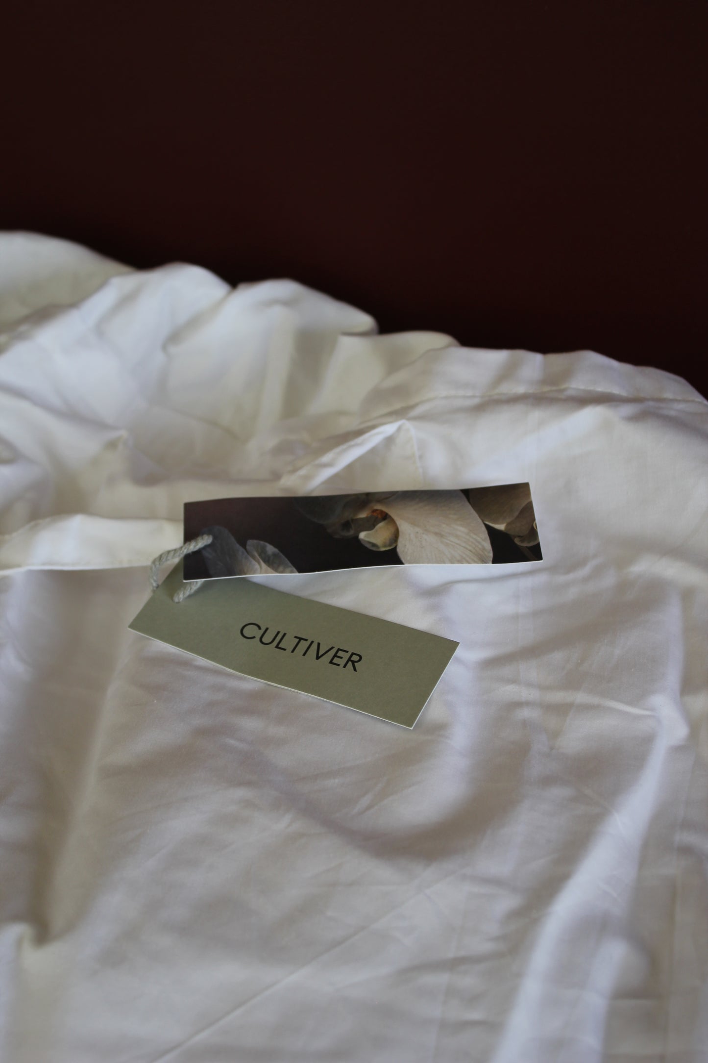 Cultiver / Silk & Feather Pillow Insert