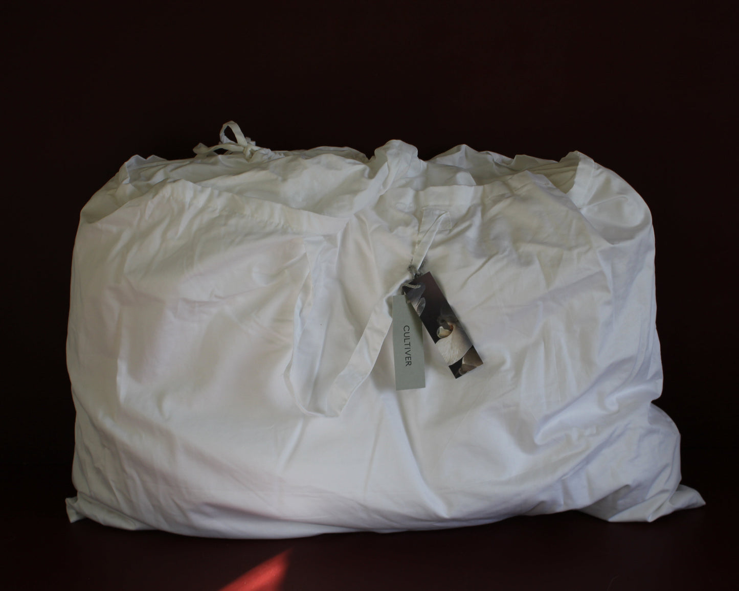 Cultiver / Silk & Feather Pillow Insert